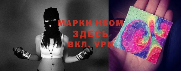 прущие грибы Баксан