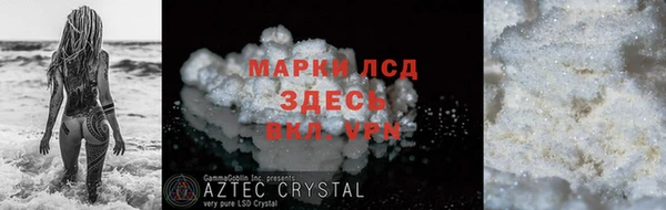 прущие грибы Баксан