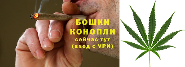 прущие грибы Баксан