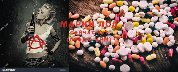 прущие грибы Баксан