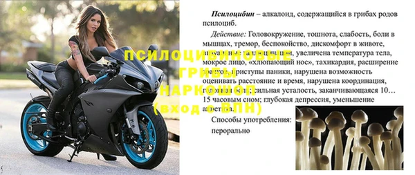 дурь Беломорск