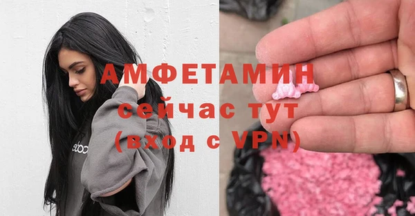 прущие грибы Баксан