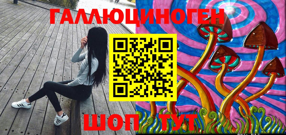 Краснокаменск  Псилоцибиновые грибы Psilocybine cubensis  Вход с VPN 